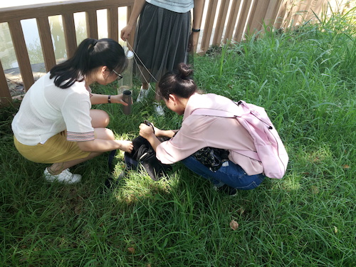 7月10日 老王论坛
 赴嘉兴“青水”小分队实地考察并采样3