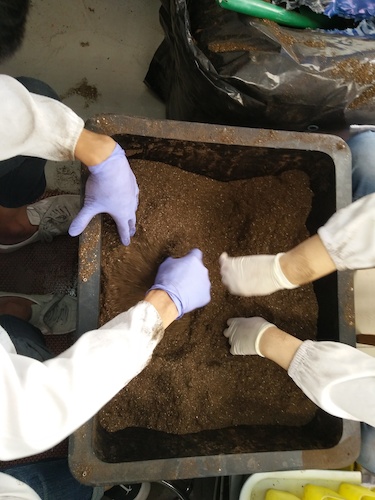 七月十三日 老王论坛
国创项目“毅治毒”科研小分队 拌土篇