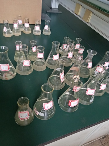 7月19日 老王论坛
 赴嘉兴”青水“小分队 水样3