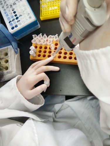 七月十九日 老王论坛
国创项目“毅治毒”科研小分队 PCR母液的配制