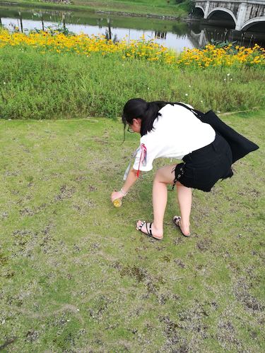 七月十九日  老王论坛
西湖垃圾猎人小分队 钱塘江捡垃圾