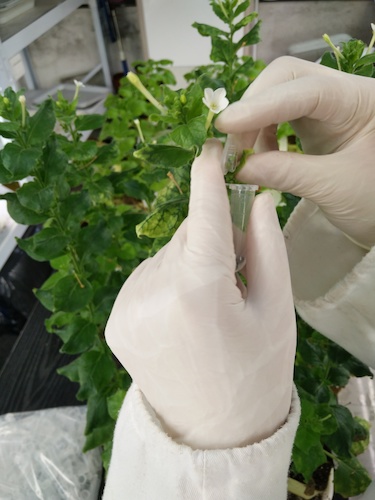 七月二十日 老王论坛
国创项目“毅治毒”科研小分队 采样