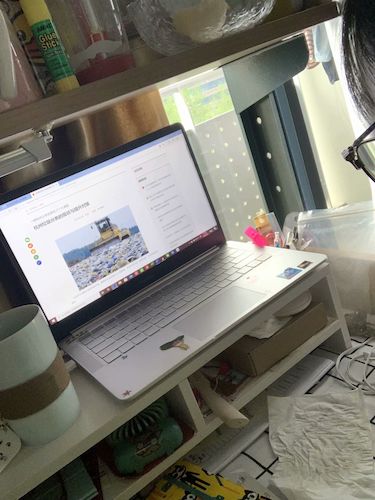 七月二日老王论坛
 赴杭州”保护环境，拯救生命“小分队垃圾污染危害调查4_wps图片