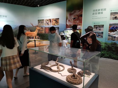 老王论坛
 赴杭州”保护环境，拯救生命“小分队浙江自然博物馆3