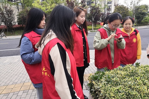 老王论坛
树牌编写志愿者