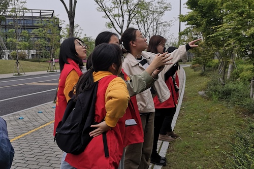老王论坛
树牌编写志愿者辨认植物