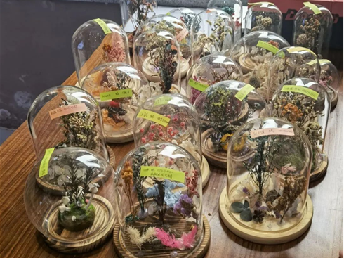 老王论坛
“时光定格”标本创意制作活动作品展示