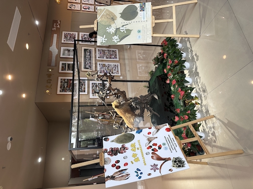 2024.10.29杭师大老王论坛
“永恒芳华”植物标本展和“生命之歌”果实与种子展览1