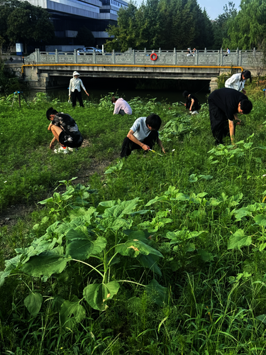 花海劳动教育基地除草